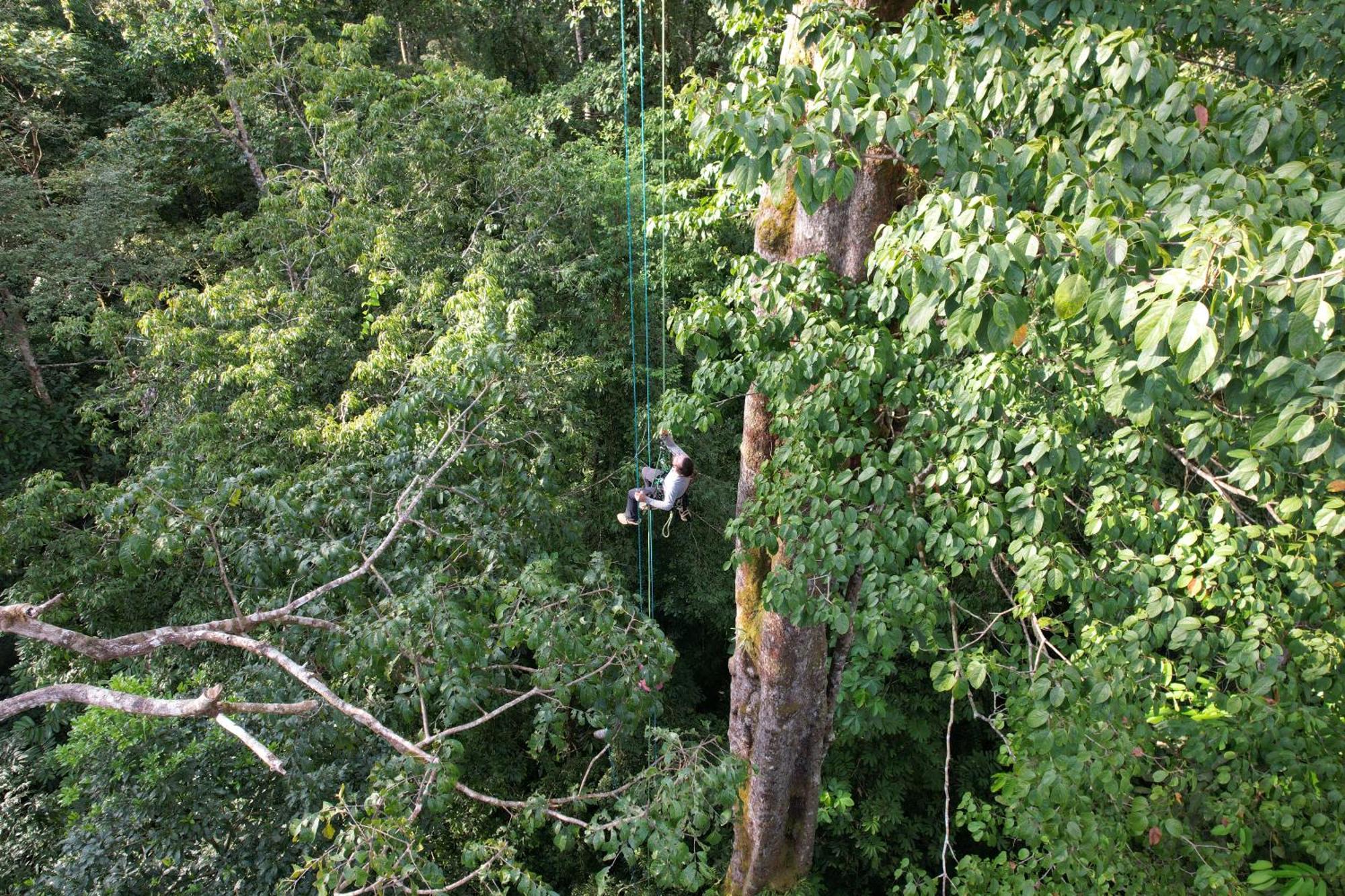 Corcovado Wilderness Lodge By Scp San Pedrillo Exterior photo